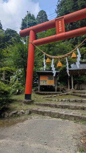 東金砂神社 紫陽花情報