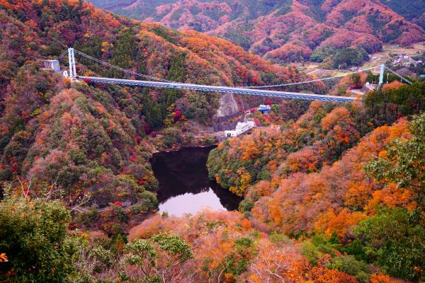 『吊橋（紅葉）』の画像