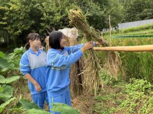 『おだがけ』の画像