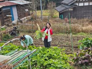 『野菜の収穫』の画像